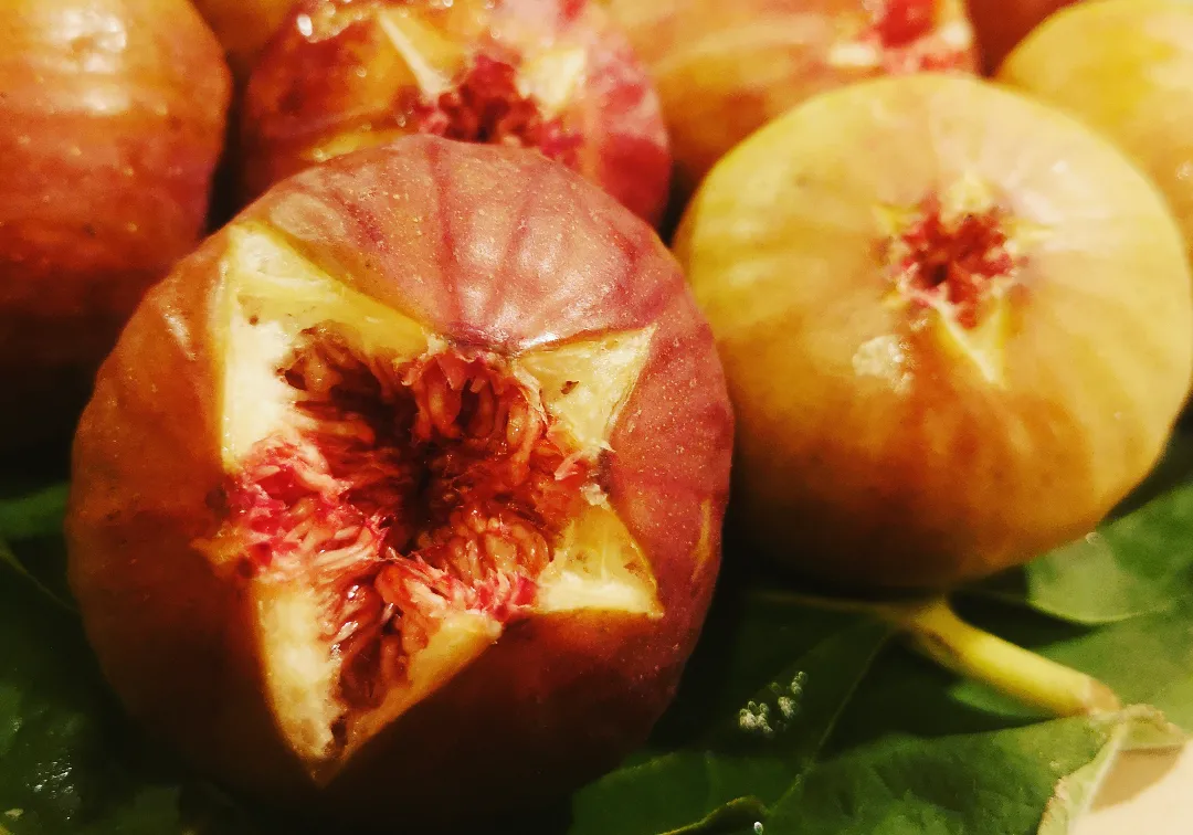 植物エストロゲンの摂取には注意が必要ですか?