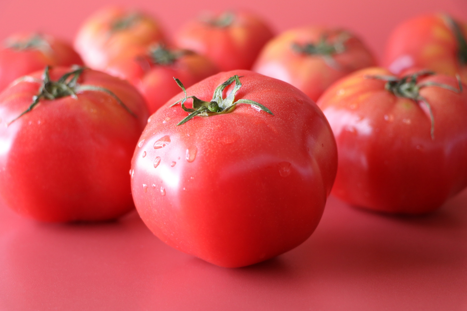 【 いま食べておきたい旬の抗酸化・美容食材『 トマト 』 】